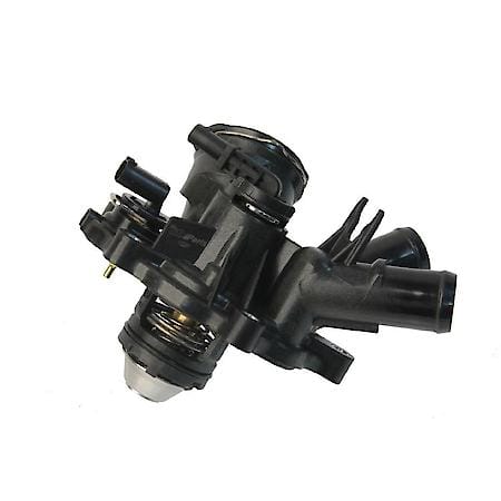 Thermostat Assembly w/ Switch, Includes flange gasket and (1) o-ring for thermostat