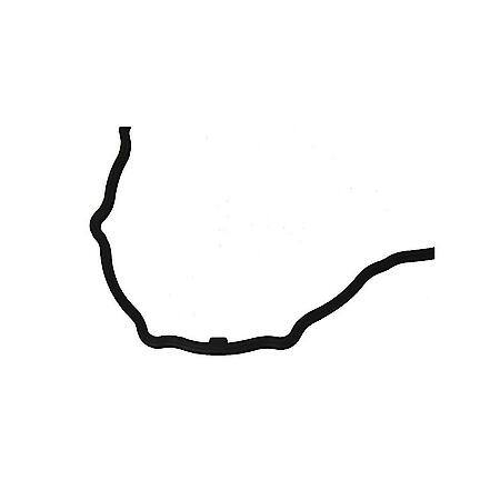 Engine Oil Pan Gasket