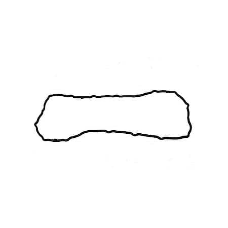 Engine Oil Pan Gasket