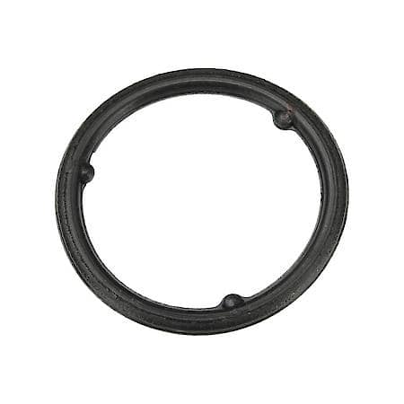 Engine Oil Pan Gasket