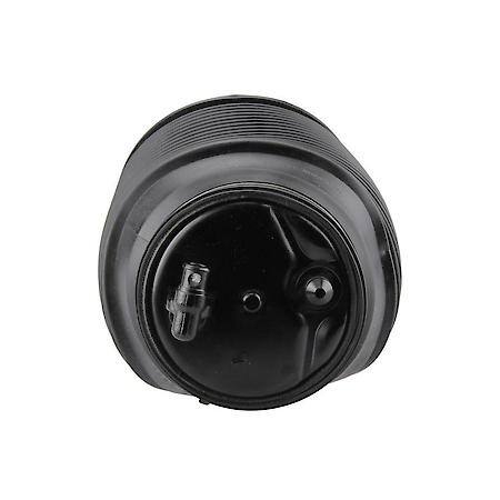 Air Suspension Spring, Rear Left