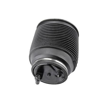 Air Suspension Spring, Rear Left
