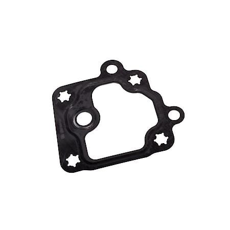 Vacuum Pump Gasket