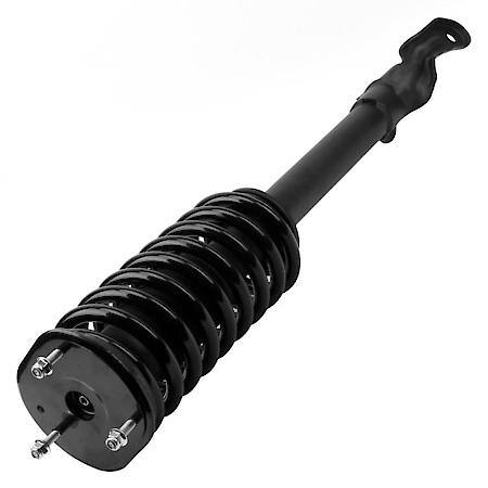 Complete Strut Assembly