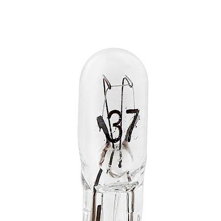37 Mini Bulb, 10 Pack