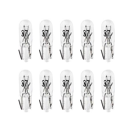 37 Mini Bulb, 10 Pack