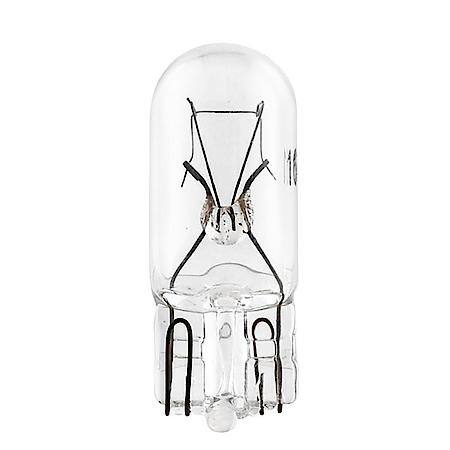 161 Mini Bulb, 10 Pack