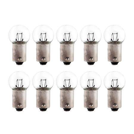 1895 Mini Bulb, 10 Pack