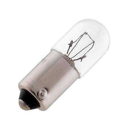 1893 Mini Bulb, 10 Pack