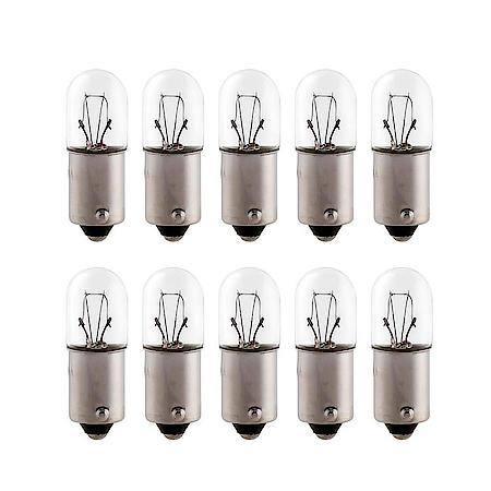 1893 Mini Bulb, 10 Pack