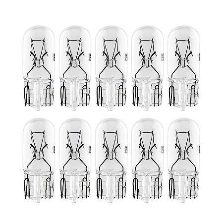 193 Mini Bulb, 10 Pack