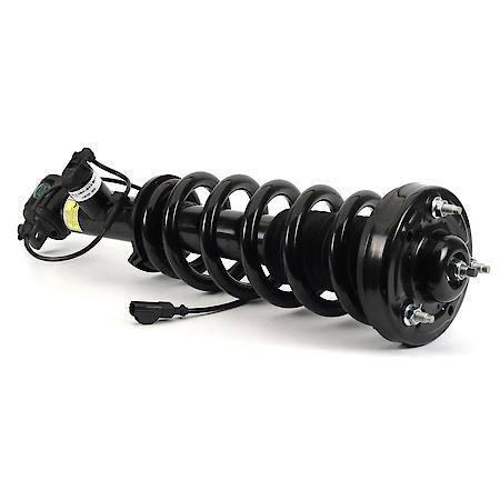 Coil Strut Assembly