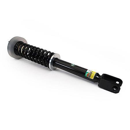 Electric Coil Strut Assembly - New eRide