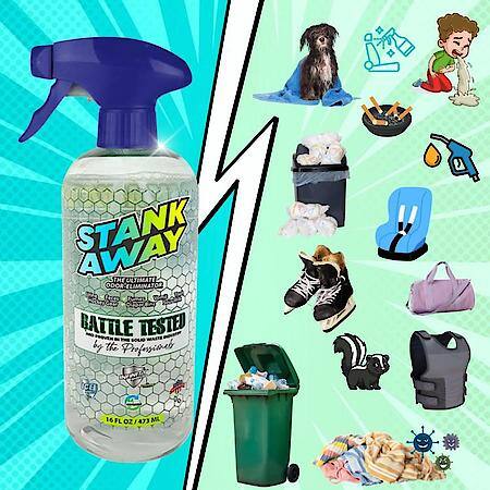 Stank Away Odor Eliminator Spray 16 oz. Ice Shield Scent