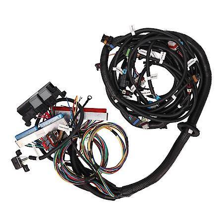 GM Standalone LS1 Drive by Wire Engine and T56 Manual Transmission Harness