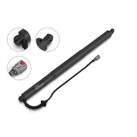 Liftgate Lift Support, 24.87 Inch, 24-20 Ford