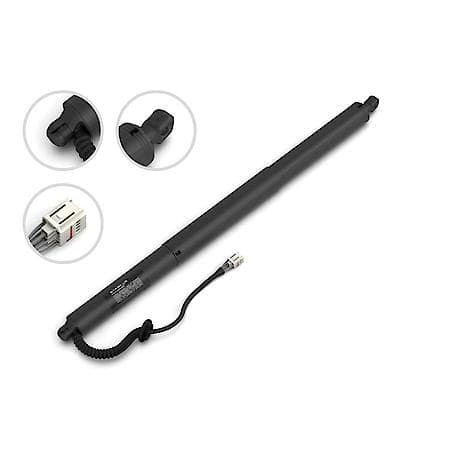 Liftgate Lift Support, 22.64 Inch, 24-18 Audi