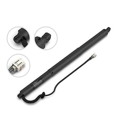 Liftgate Lift Support, 25.75 Inch, 21-17 Volkswagen