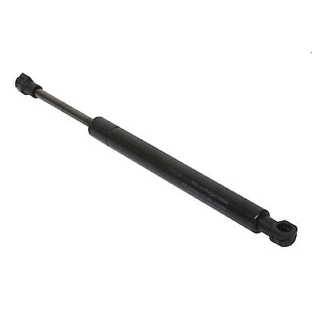 Trunk Strut