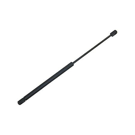 Hatch Strut