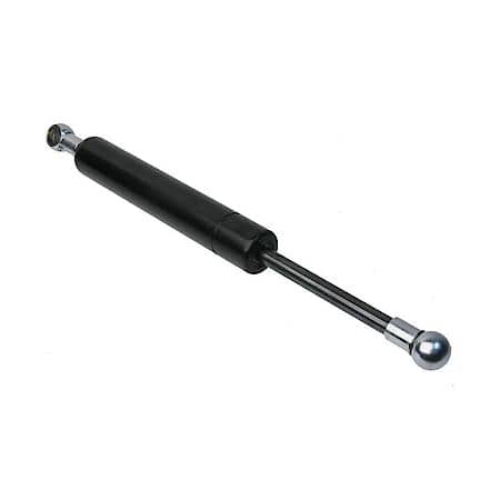 Tailgate Strut