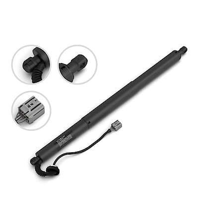 LIFTGATE LFT SUPP(L)