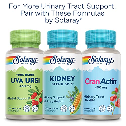 SOLARAY Nettle Leaf 450mg Healthy Kidney, Urinary & Prostate Support Traditional Use for Healthy Allergy Response & Respiratory Wellness 180 CT