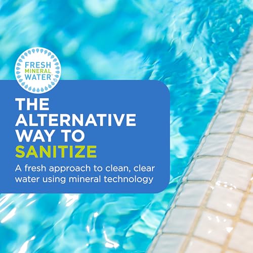 FROG Replacement Mineral Reservoir for use with Pool FROG Model 6100 Cycler - Prefilled Mineral Cartridge for Quick & Easy Pool Sanitization