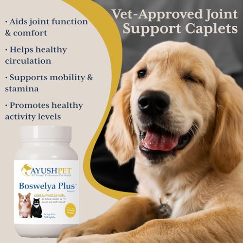 Ayush Pet Boswelya Plus, Joint and Muscle Support for Pets, Ayurvedic Pet Supplement with Boswellia, Ginger, and Bromelain, Large or Small Animals, 90 Vegetarian Caplets