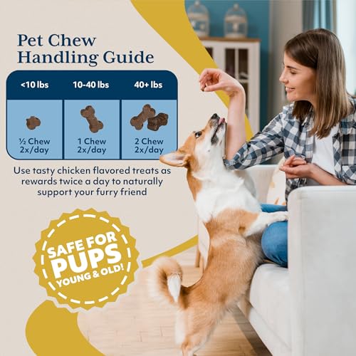 Ayush Pet Ashwagandha Calming Support Chews, Ayurvedic Calming Supplement for Dogs and Cats, Ashwagandha Herbal Supplement, 30 Chews