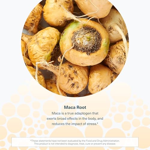 Youtheory Women's Maca Root - Vegan Energy & Menopause Support Supplement with Peruvian Ginseng* - Premium Supplement for Women - Dairy, Soy & Gluten Free - 120 Vegetarian Capsules