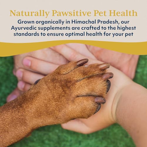 Ayush Pet Stress Support, Ashwagandha Calming Aid for Pets, Promotes Energy and Vitality, 120 Capsules