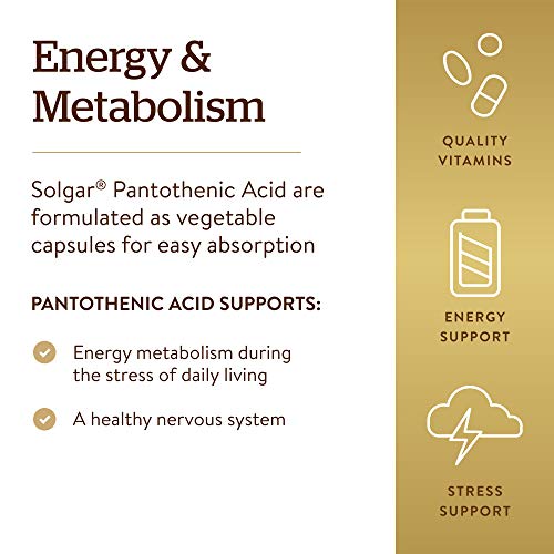 Solgar Pantothenic Acid 550 mg Vegetable Capsules Vitamin B5 Energy Metabolism Nervous System Support Gluten Free Dairy Free Kosher Servings, Standard Packaging, 100 Count