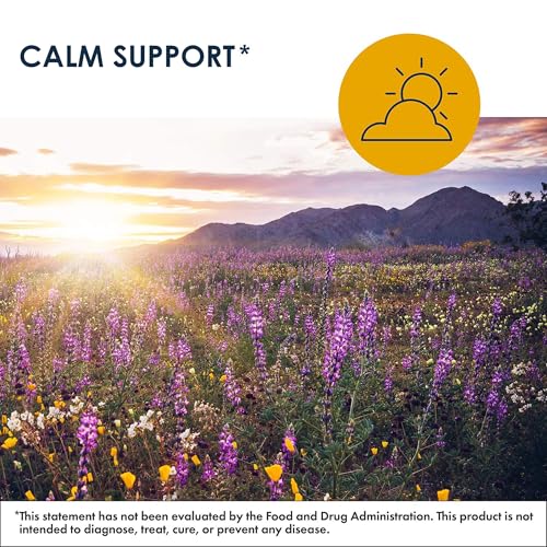 Metabolic Maintenance MetaCalm - GABA L-Theanine Supplement for Calm, Sleep, and Stress Support, Vitamin B6, Active Folate, Magnesium & 5-HTP Complex for Adults, Men and Women - 90 Capsules