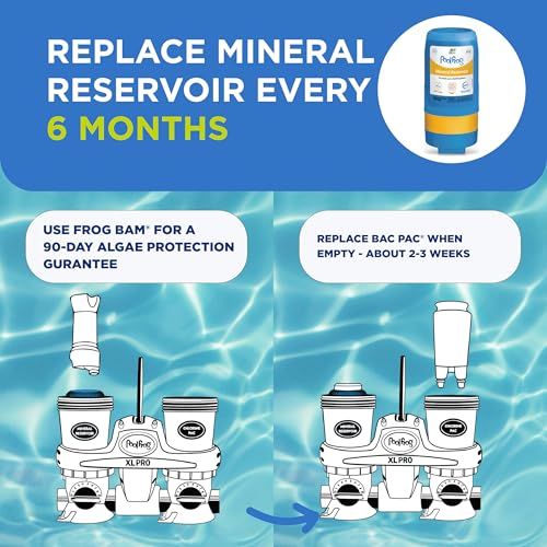 FROG Pool FROG XL PRO Cycler - All-in-One Sanitizing System with Dual Cyclers and Mineral Reservoir for Pools Up to 40,000 Gallons - Sanitizer Equipment for Easy Pool Maintenance & Water Care