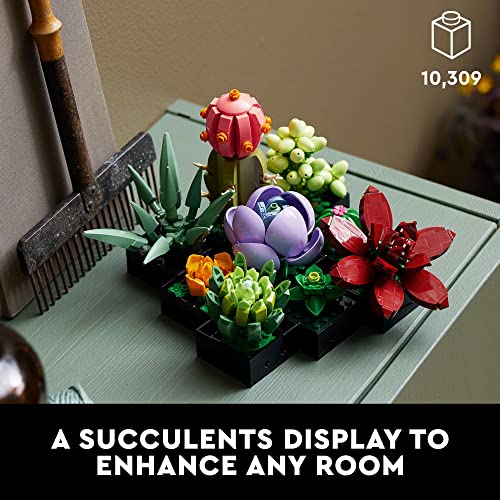 LEGO Botanicals Succulents - Artificial Indoor Plant Building Set for Home, Kitchen, Desk Decor Adults Ages 18+ - Gift for Birthdays - 10309