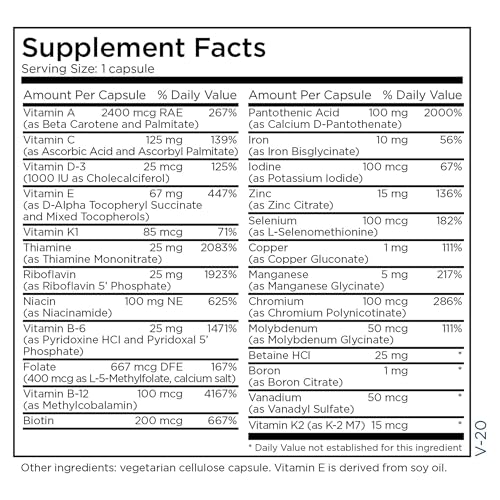 Metabolic Maintenance The Big One Multivitamin with Iron - Multivitamin for Women and Men with Vitamin A, C, E, Minerals, Methylated B Complex, Multi Vitamin - 90 Capsules