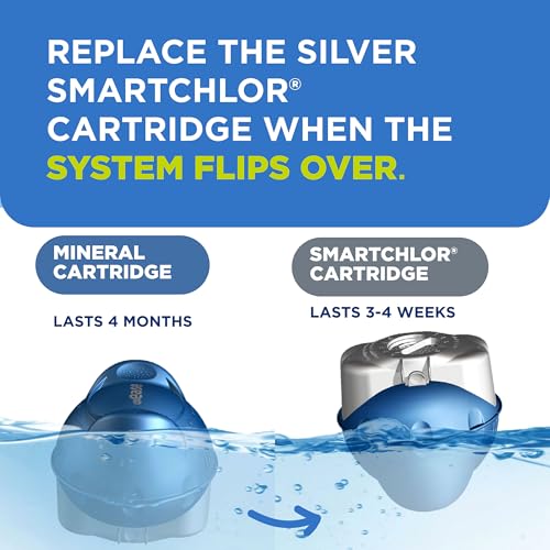 FROG @Ease Floating System for Swim Spas with 1 Pack of FROG Kick-It - Quick & Easy Self-Regulating Swim Spa Sanitizer - Swim Spa Maintenance System with Sanitizing Minerals & SmartChlor Technology