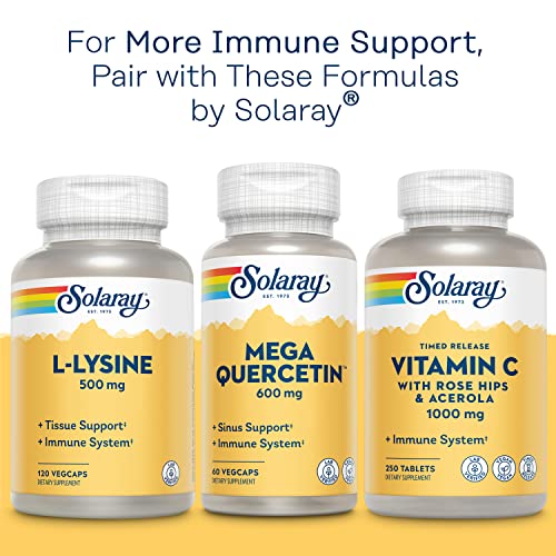 Solaray Bio Zinc 15 mg | Triple Zinc Complex for Healthy Immune System, Endocrine & Cell Function Support | 100 VegCaps