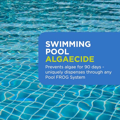 FROG BAM 90-Day Algae Preventative - Pool Winterizer Chemical and Algaecide Treatment for Preventing & Removing Algae - Compatible with All FROG Pool Products