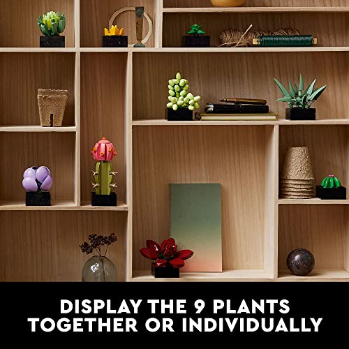 LEGO Botanicals Succulents - Artificial Indoor Plant Building Set for Home, Kitchen, Desk Decor Adults Ages 18+ - Gift for Birthdays - 10309