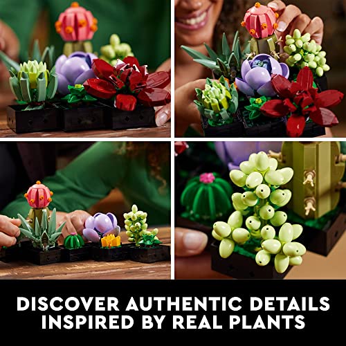 LEGO Botanicals Succulents - Artificial Indoor Plant Building Set for Home, Kitchen, Desk Decor Adults Ages 18+ - Gift for Birthdays - 10309