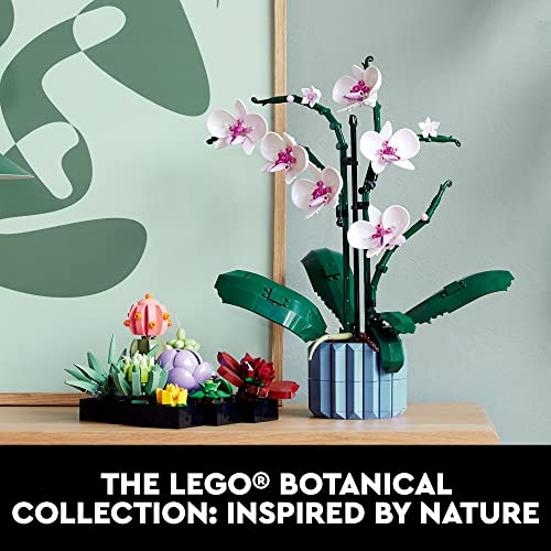 LEGO Botanicals Succulents - Artificial Indoor Plant Building Set for Home, Kitchen, Desk Decor Adults Ages 18+ - Gift for Birthdays - 10309