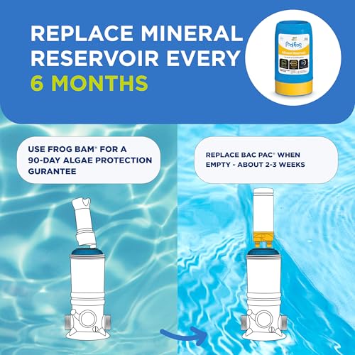 FROG Replacement Mineral Reservoir for use with Pool FROG Model 6100 Cycler - Prefilled Mineral Cartridge for Quick & Easy Pool Sanitization