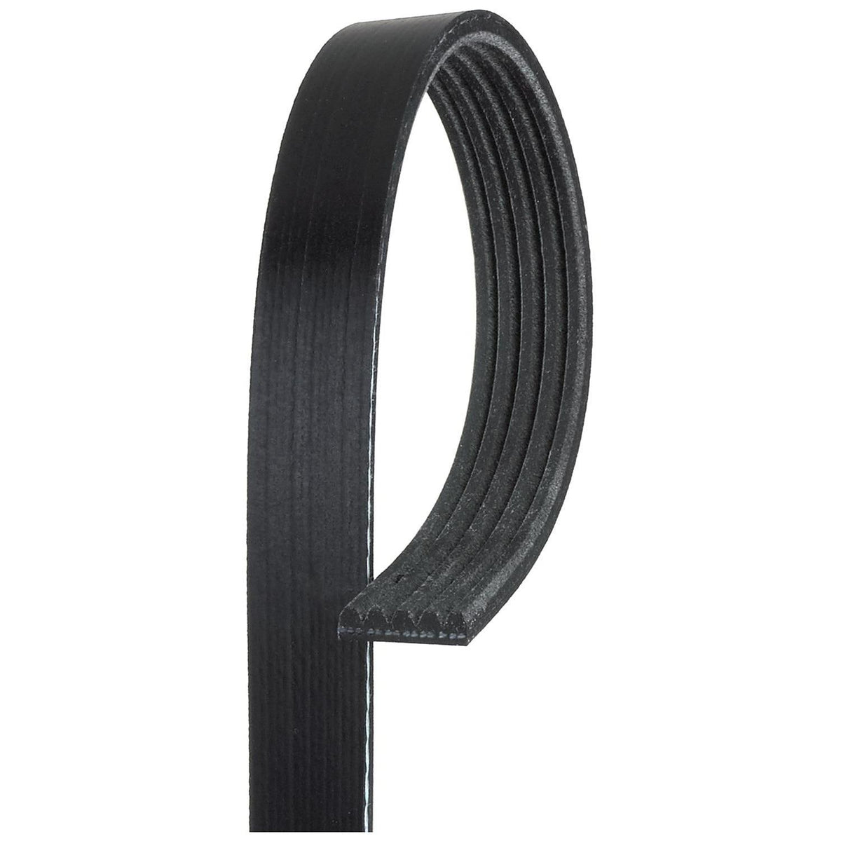 ACDelco Gold 1020 mm Serpentine Belt 5K400 (1/3)