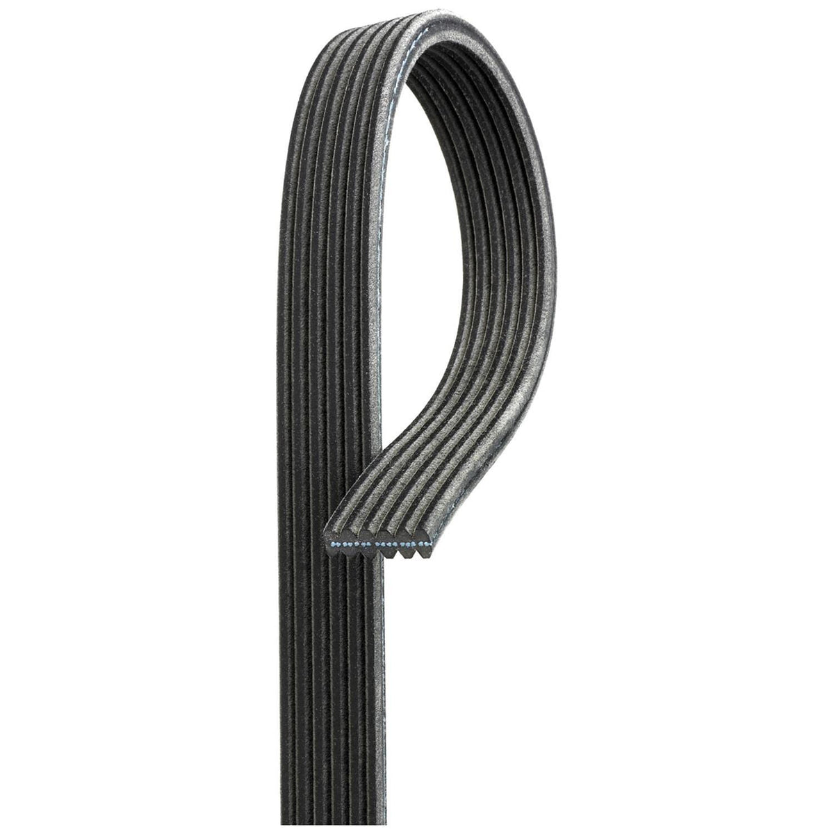 ACDelco Gold 82 in Serpentine Belt 6DK809 (1/5)