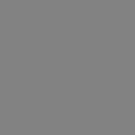 Automotive Primer Sealer, Gray, 12-Oz