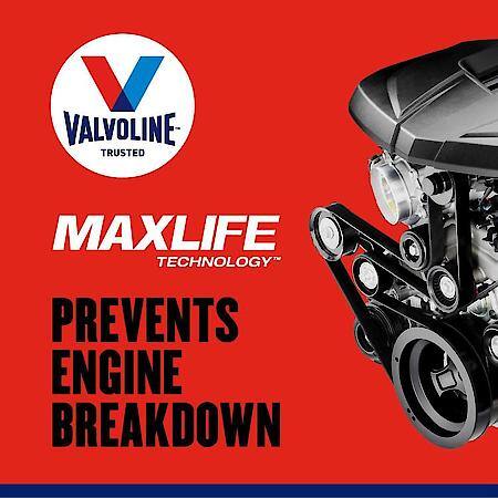 MaxLife 10W-40 Synthetic Blend Engine Oil, Maximizes Engine Life, 1 Quart