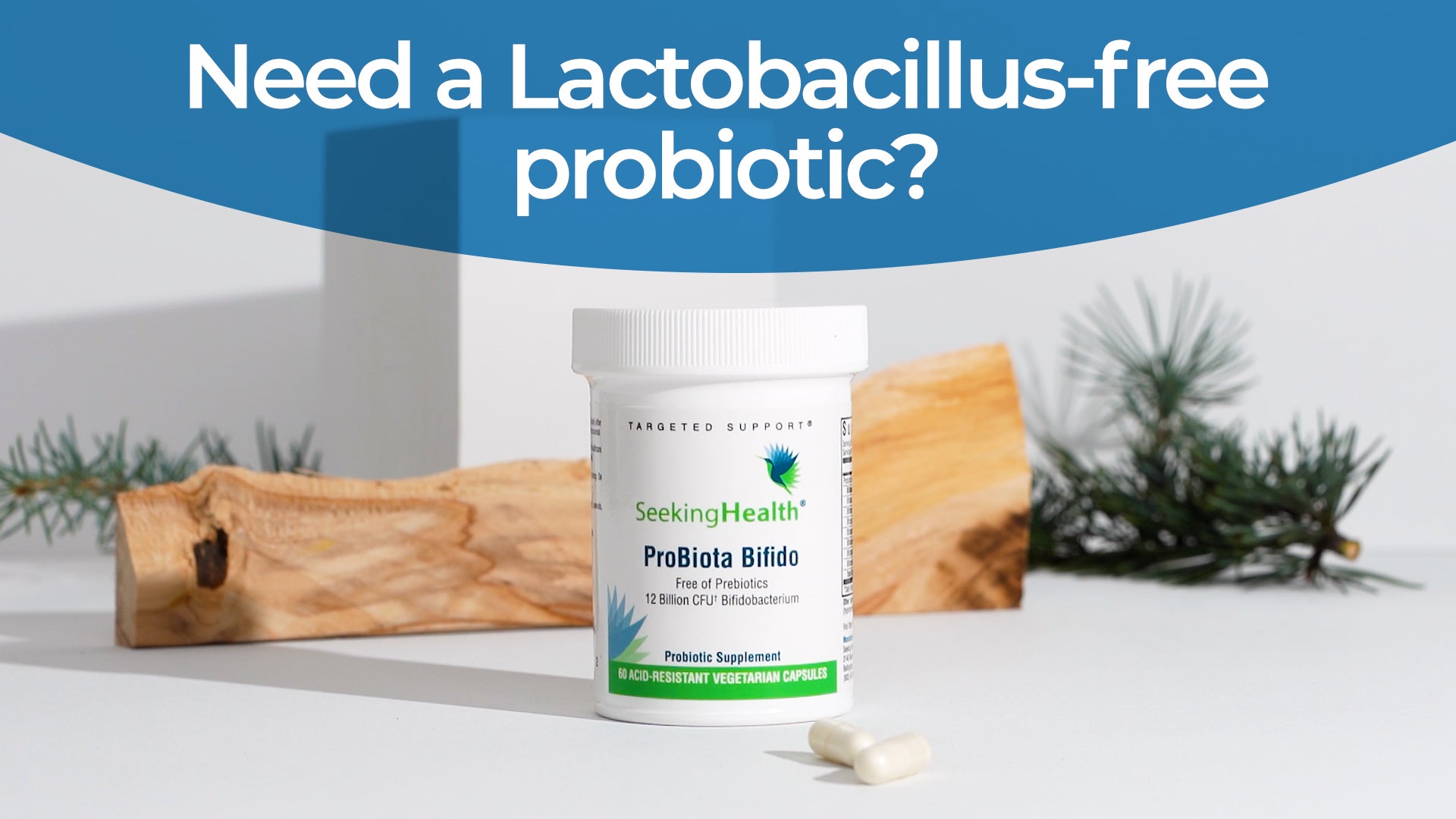 Seeking Health ProBiota Bifidobacterium, 60 Capsules, Probiotic Supplement for Digestive Health, Bifido Only, Vegan- and Vegetarian-Friendly, Supports Colon Health and Immune System*
