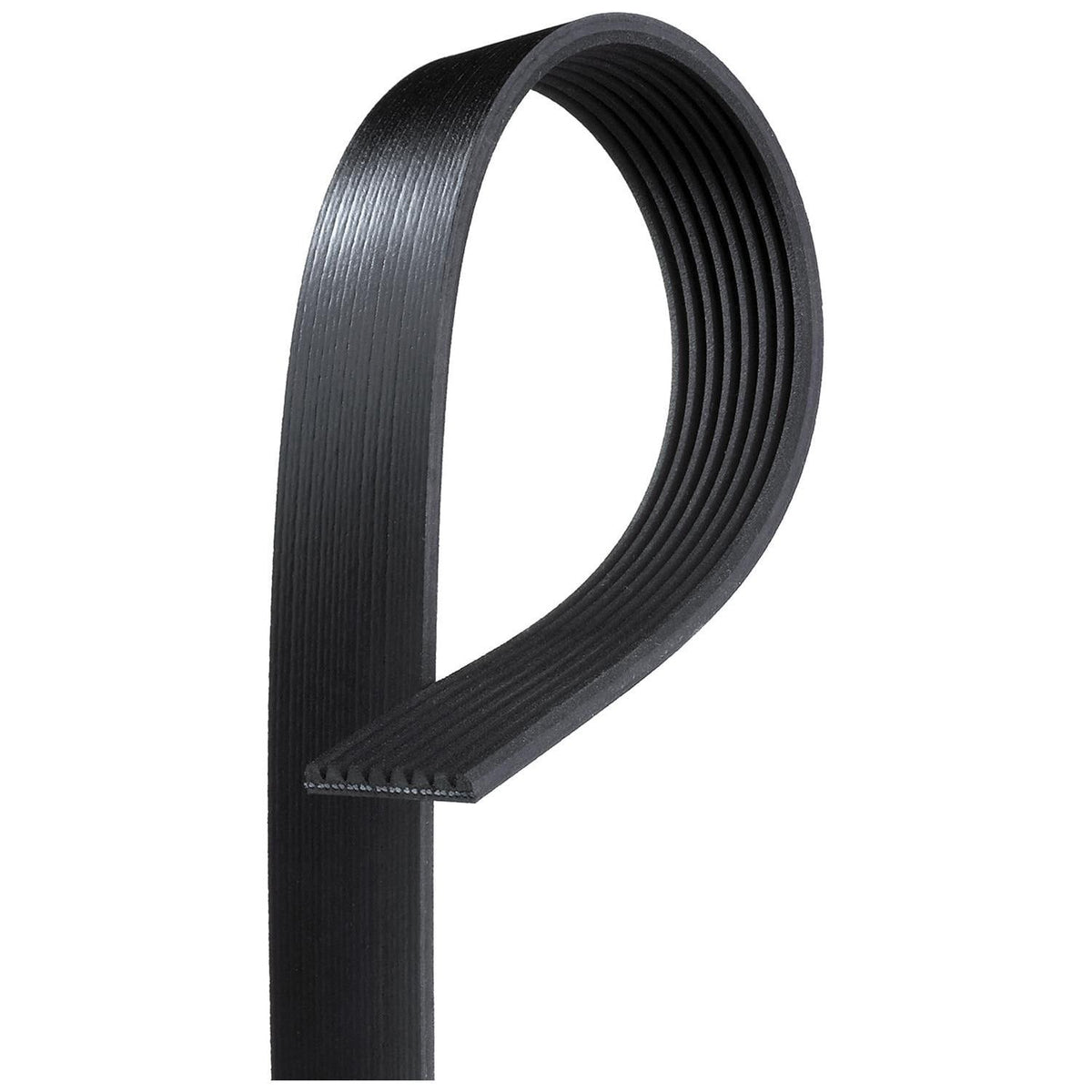 ACDelco Gold Serpentine Belt 8K1000 (1/3)